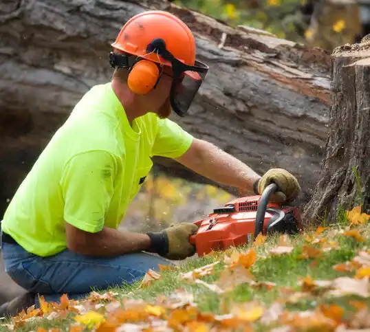 tree services Coal Run Village